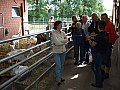 Foto_ 024.jpg